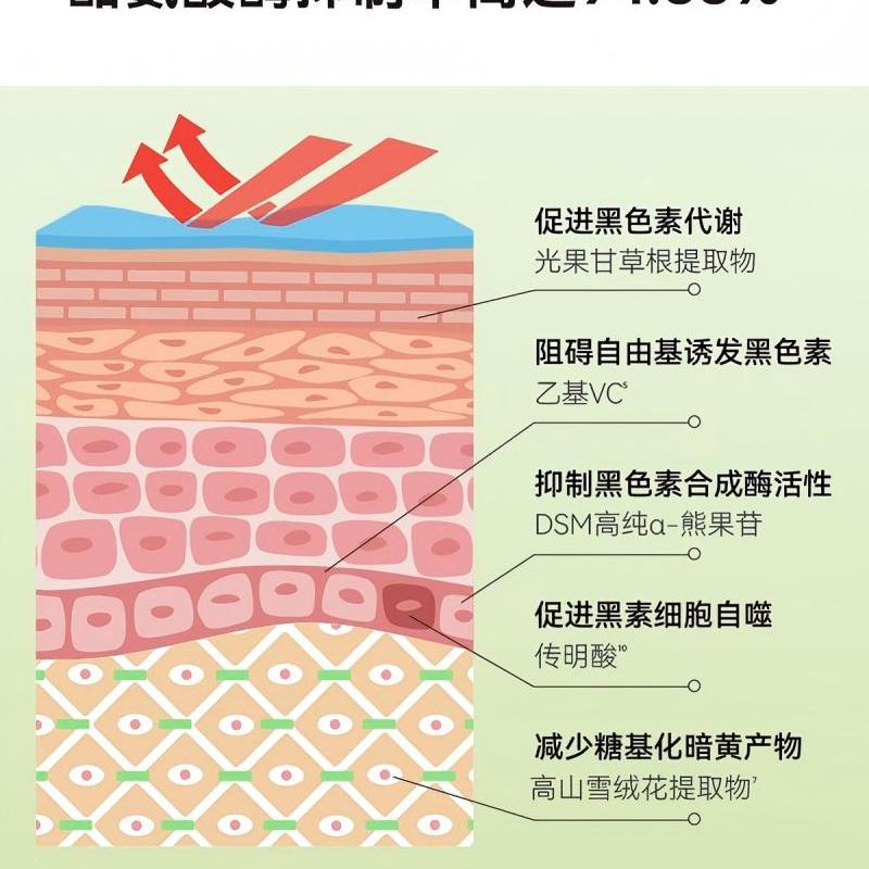 HBN·α-熊果苷光透焕白精萃水(美白特证版) TZFGS0701 150ml高清大图