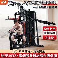 综合训练器大飞鸟三人站健身家用多功能可折叠大型力量器JX-DZ306