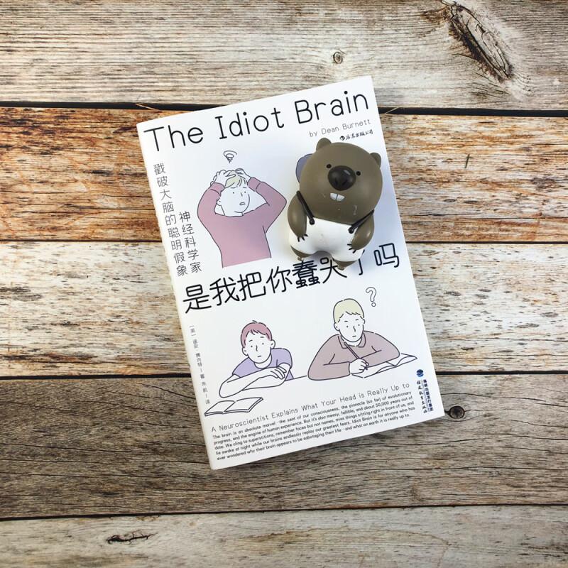 [正版]是我把你蠢哭了吗神经科学家戳破大脑的聪明假象 DeanBurnett福建教育出版社高清大图