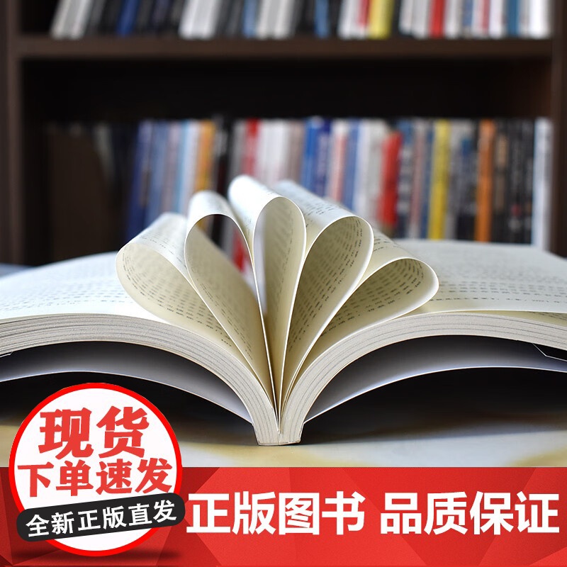 数字化转型之路 从数字化到数智化 姚远 著 经济高清大图