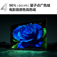 TCL电视 98T8H 98英寸 Mini LED 512分区 HDR 1200nits 288Hz 超薄 平板电视