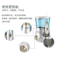 万畅(Vantry)冲牙器 TF_150BZ 8支刷头标准型,700ML可拆大水箱,清洁牙齿,家用洗牙器