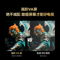 雷鸟雀4 25款43英寸4K 高清智能网络WiFi语音低蓝光认证液晶平板电视机43F195C