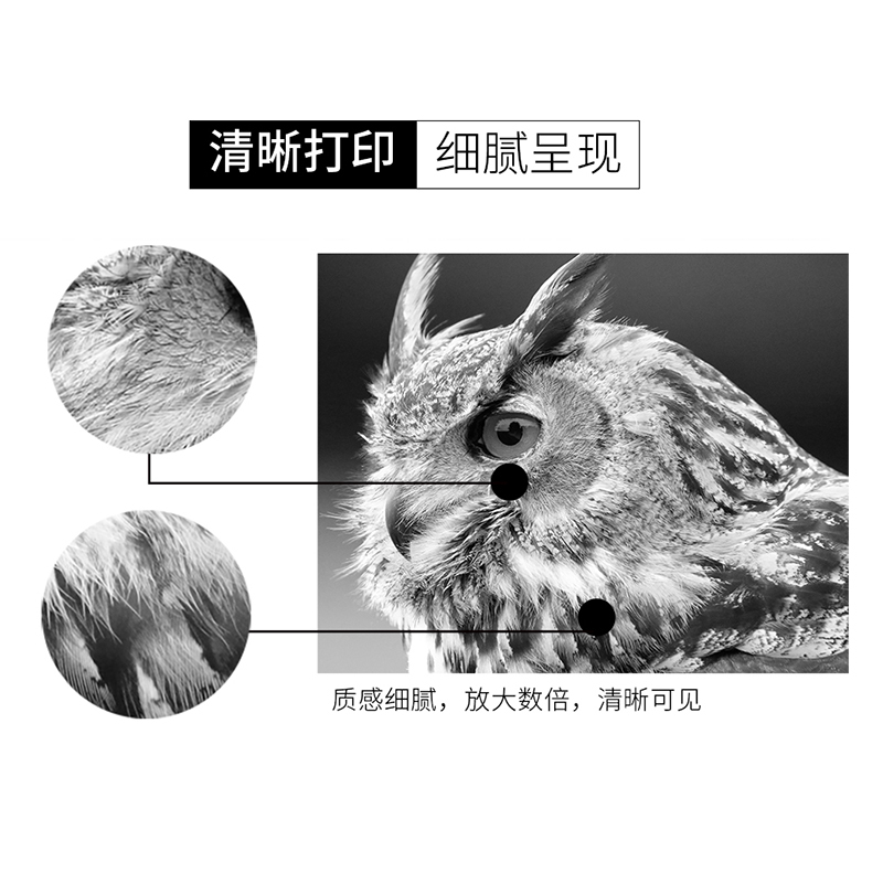 ZP/中普奔图1150HC硒鼓 绿包高清大图