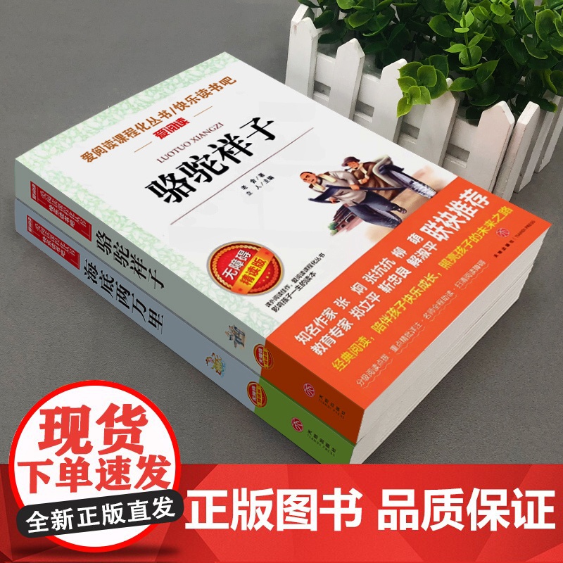 骆驼祥子和海底两万里全套2册正版原著老舍七年级下册名著课外书初中生初一年级语文课外阅读书籍SF高清大图