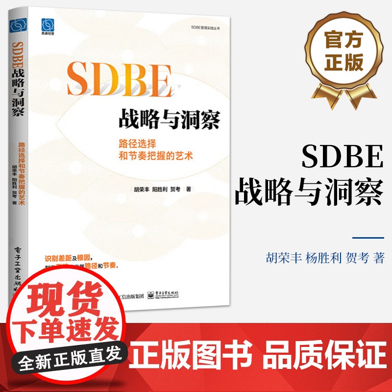 店 SDBE战略与洞察:路径选择和节奏把握的艺术 应变发展破局生存 标杆企业战略规划方法 电子工业出版社高清大图