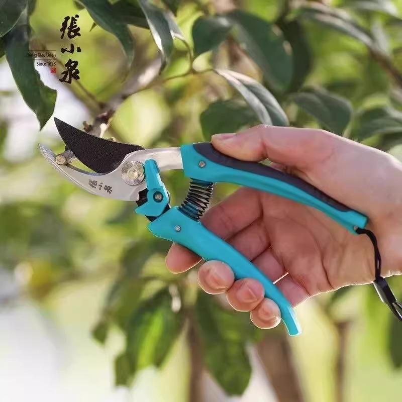 张小泉修枝剪刀果树园艺剪刀园林苗木省力修花枝专用工具神器正品8138高清大图