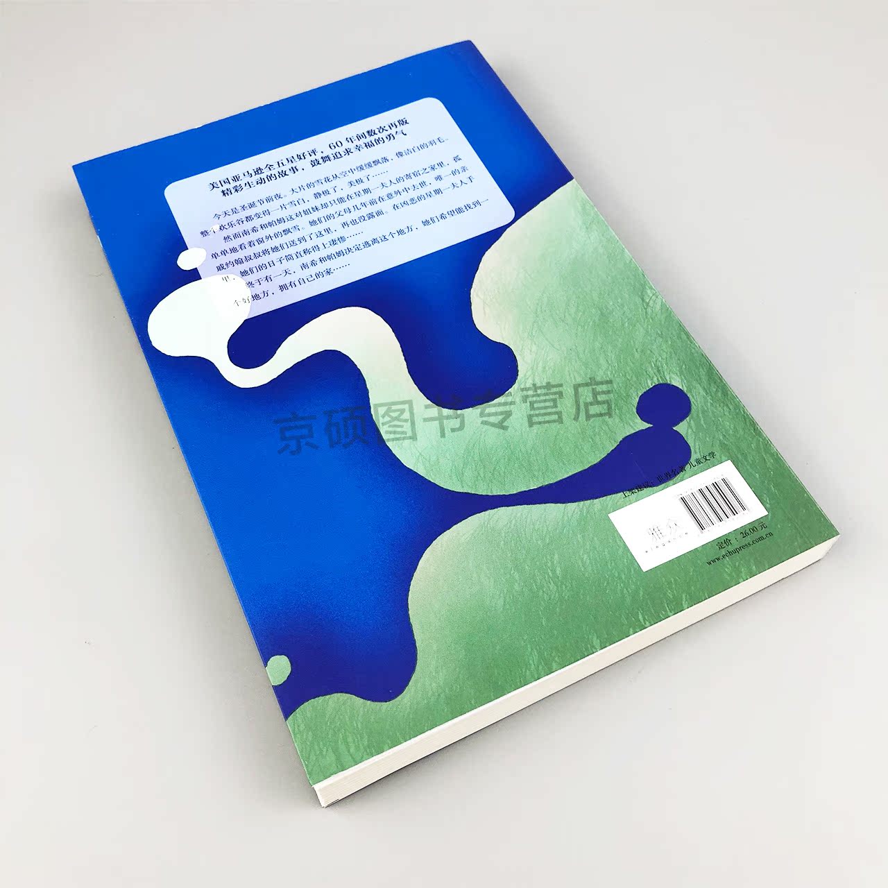 [正版] 南希和帕姆 世界儿童文学名家名作 雅众 经典儿童文学作品 童书 少年成长小说 感人故事 华东师范大学出版社高清大图