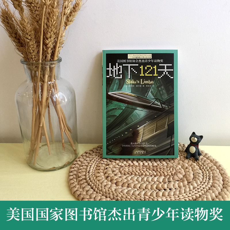 [火爆套装]国际大奖小说-十岁那年&十二岁的旅程 [正版]长青藤 大奖小说系列:地下121天 霍尔曼儿童文学故事书9-1高清大图