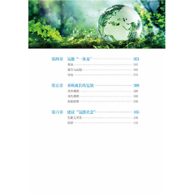 正版新书]氢能崛起张雨晨9787110104095高清大图