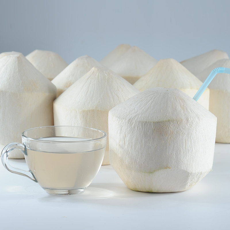 [五个农民]泰国奶香椰青 2个装 单果600-800g 新鲜椰子送开椰器