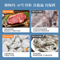 澳柯玛(AUCMA) 192升立式冷柜 冰柜冰箱 家用黄金容量 -40度深冷缩鲜 变频风冷一级节能 BD-192WPHS