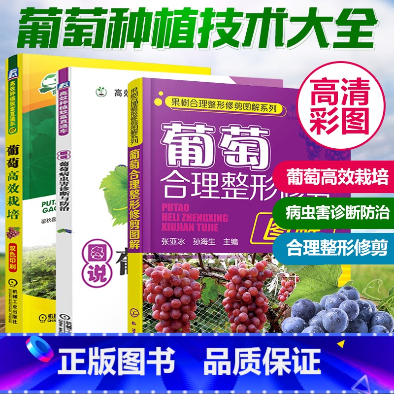 【正版】3本 葡萄种植栽培技术书 葡萄高效栽培+病虫害诊断与防治+葡萄合理整修修剪图解 种植技术书籍 实用大全 病虫害