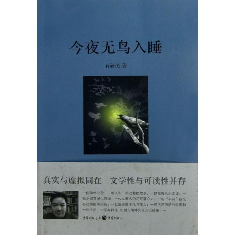 正版新书]今夜无鸟入睡/石新民石新民9787229046835高清大图