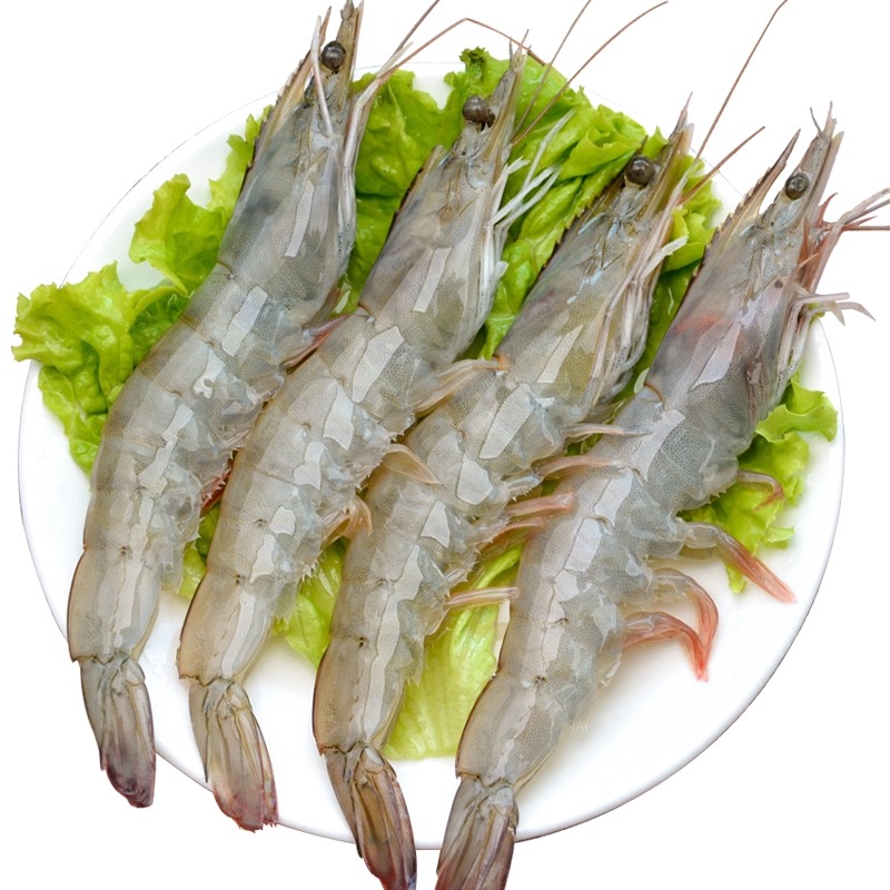 抢3盒仅95黑虎虾活冻大虾1620cm活超大斑节虾鲜虾冻虾海鲜水产速冻九