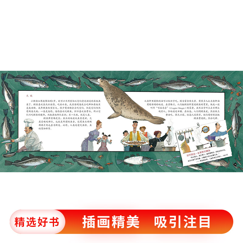 单本全册 [正版]鳕鱼的故事蒲蒲兰硬壳精装图画书经典历史类书籍的儿童绘本版适合6岁以上阅读童书高清大图