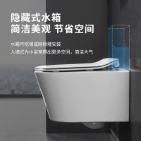 浪鲸卫浴壁挂马桶隐藏式水箱坐便器嵌入式小户型家用卫生间