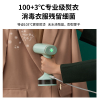 金正(NiNTAUS)手持便携挂烫机 1500W脉冲蒸汽 140ml水箱 迷你小型蒸汽熨衣刷JZG-G2113豪华版单档