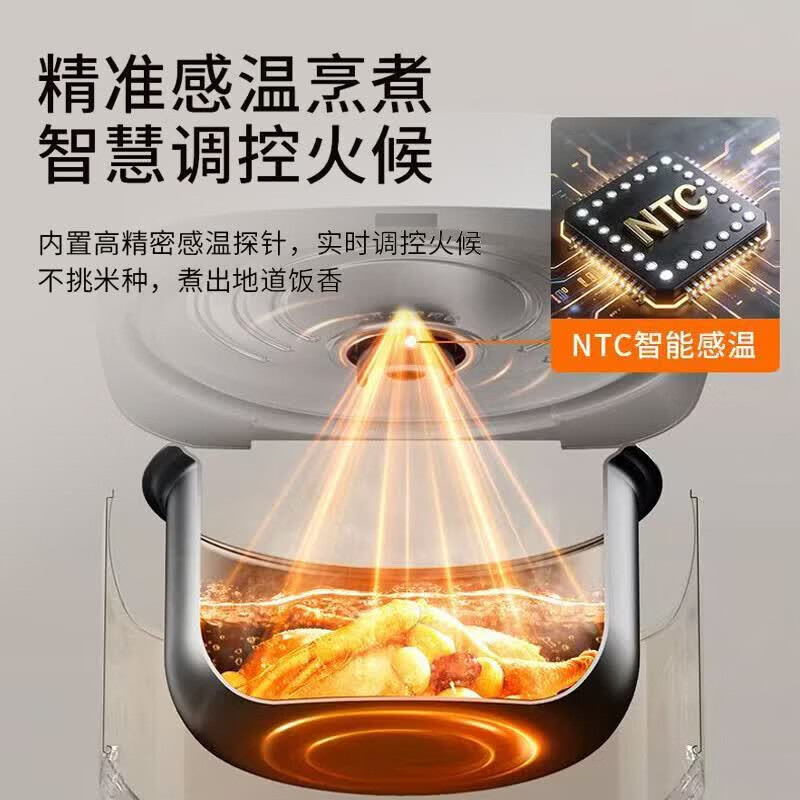 九阳 电饭煲F30FZ-F4170-D高清大图