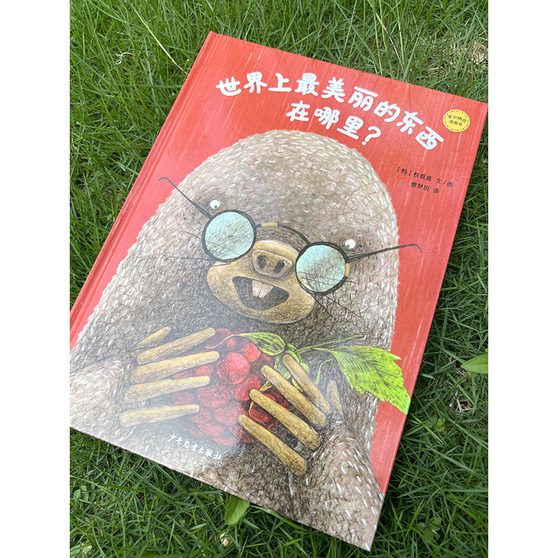 麦田精选图画书 世界上最美丽的东西在哪里?精装版彩图 绘本儿童图书童书漫画书 幼儿早教启蒙认知读物睡前故事高清大图