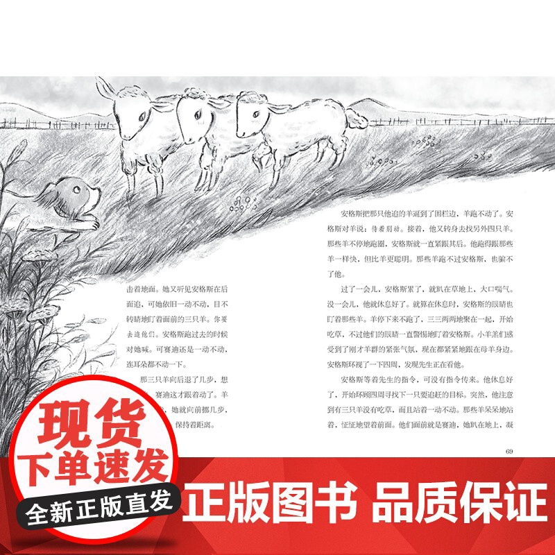 牧羊犬兄妹 长青藤国际大奖小说书系第十七辑辛西娅沃伊特著小学生课外阅读书籍外国儿童文学天地如此辽阔高远容得下我们姿态万千高清大图
