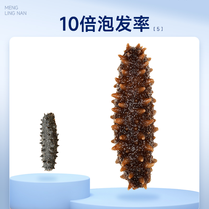 梦岭南旗舰店正宗海参干货孕妇 5g 淡干大连辽参野生刺参 滋补品礼盒装