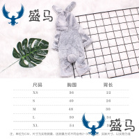 网红同款珊瑚绒兔子变身装狗衣服宠物衣服秋冬款可爱四腿休闲风泰迪狗衣抖音爆款 L 垂耳兔兔