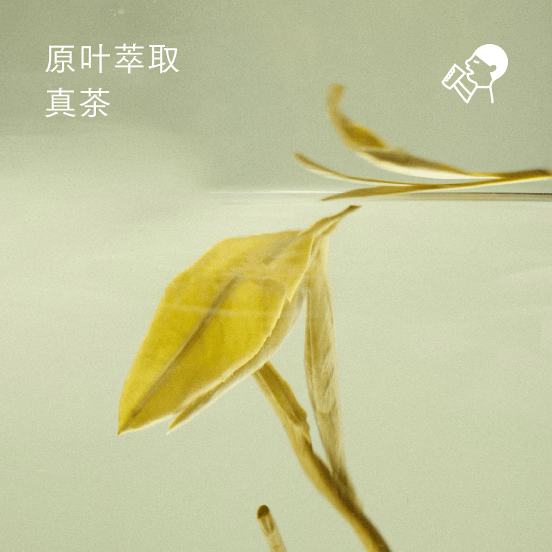 喜茶小奶茉牛乳茶奶茶饮料350ml*10瓶高清大图