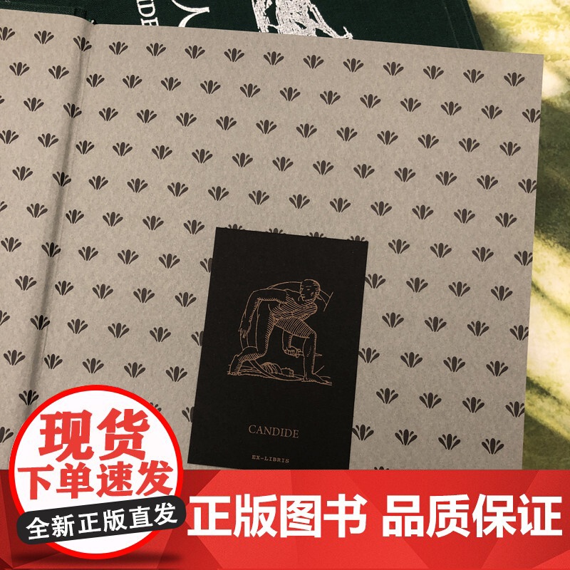 老实人 伏尔泰 傅雷翻译 后浪插图经典系列,名家名译名画 收录传世插画,精心打磨译本 正版书籍高清大图