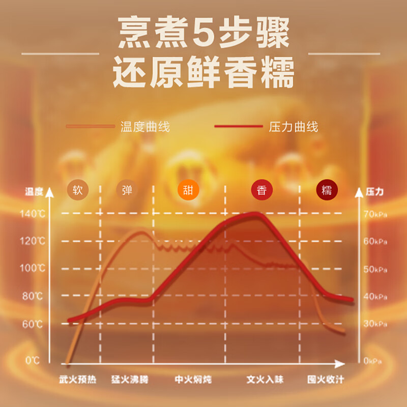 荣事达电脑版电压力锅YDG50-100A210(LB)高清大图