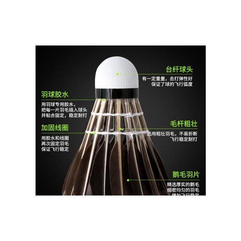 安格耐特(Agnite) F2204羽毛球 比赛训练耐打 训练级 鸭毛12个/盒 2盒装