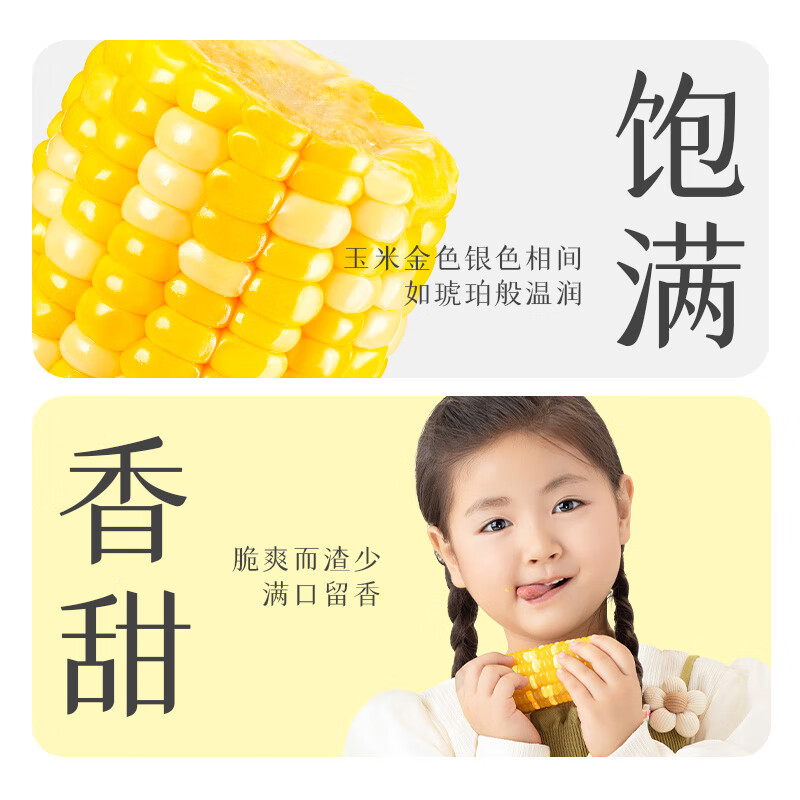 柴火大院金银水果玉米段1kg(100g×10段)开袋即食双色甜玉米脆甜爆汁早餐粗粮高清大图