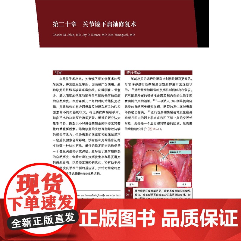 肩部与肘部 美国骨科医师学会骨科知识更新 骨科 创伤骨科 肩肘外科学 肩袖修复 AAOS 北京科学技术高清大图