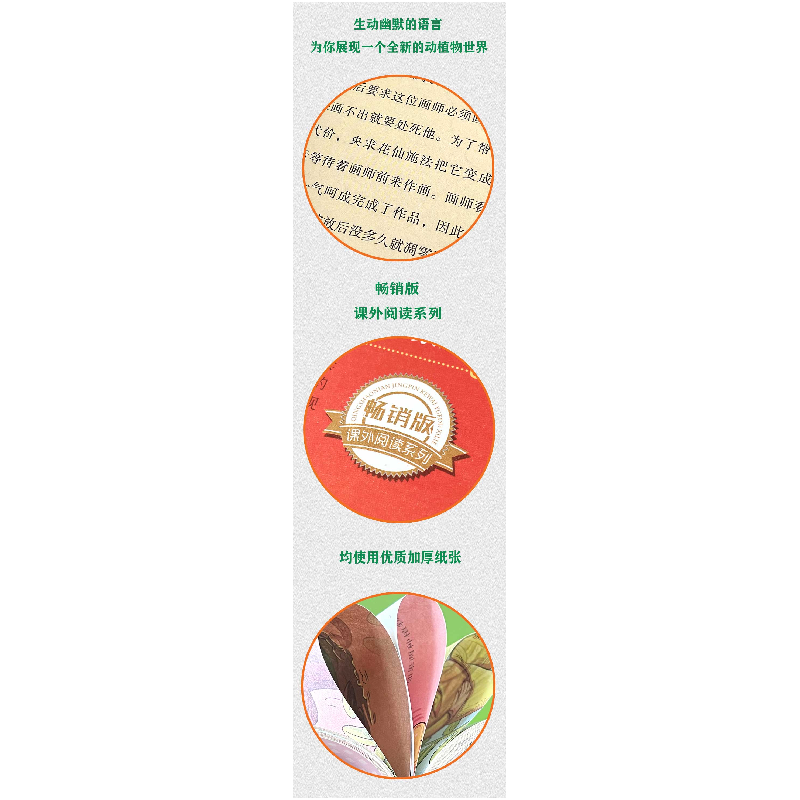 正版新书]叶子和种子知识达人 编著9787555702580高清大图