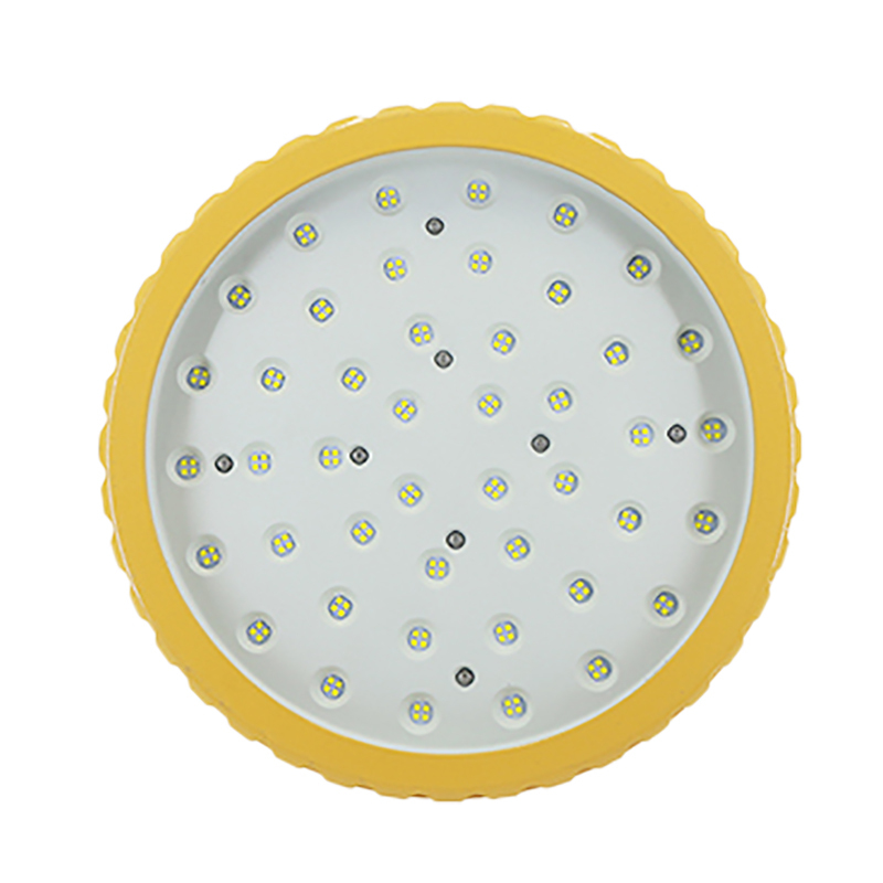 明特佳-Mintega FPD8504G-L60 LED防爆泛光灯 60W 黄色 (单位:套)