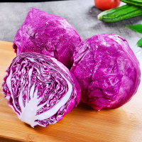 [西沛生鲜]云南新鲜紫甘蓝卷心菜 净重4-5斤 紫甘兰莲花包心菜 当季新鲜蔬菜
