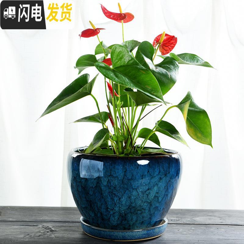 三维工匠加厚花盆陶瓷大号特大号带托盘绿萝盆景家用兰花多肉花盆 S1CZ-孔雀蓝单个 中等花盆容器高清大图