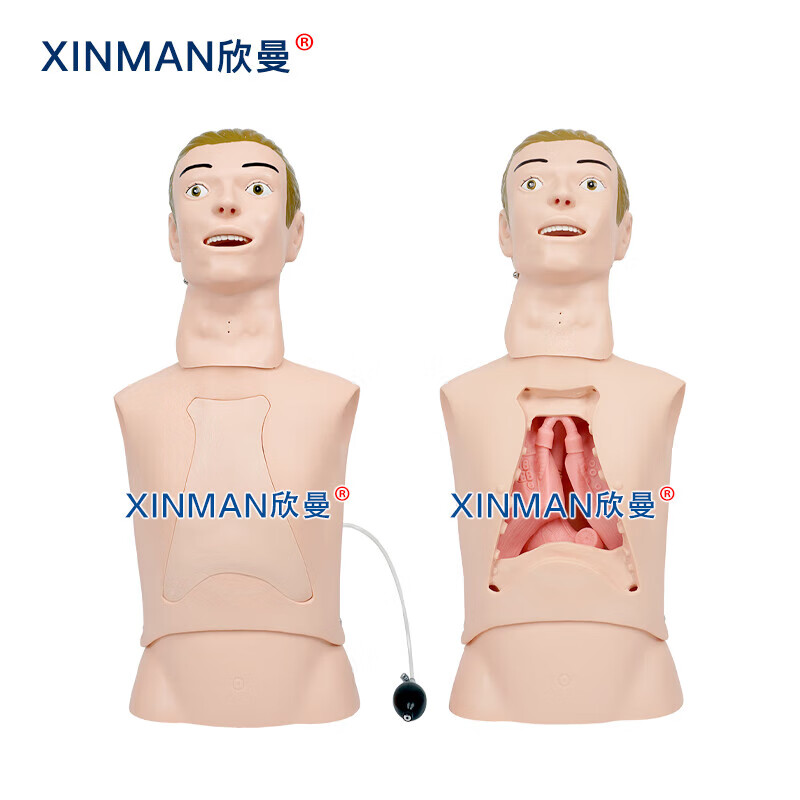 欣曼科教 高级鼻胃管与气管护理模型 鼻饲模型 鼻胃插管模拟人XM-BWG高清大图