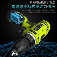 芝浦(ZHIPU)锂电钻12V双速充电电钻电动螺丝刀电起子套家用多功能手枪钻 25V双速塑盒2电1充+配件