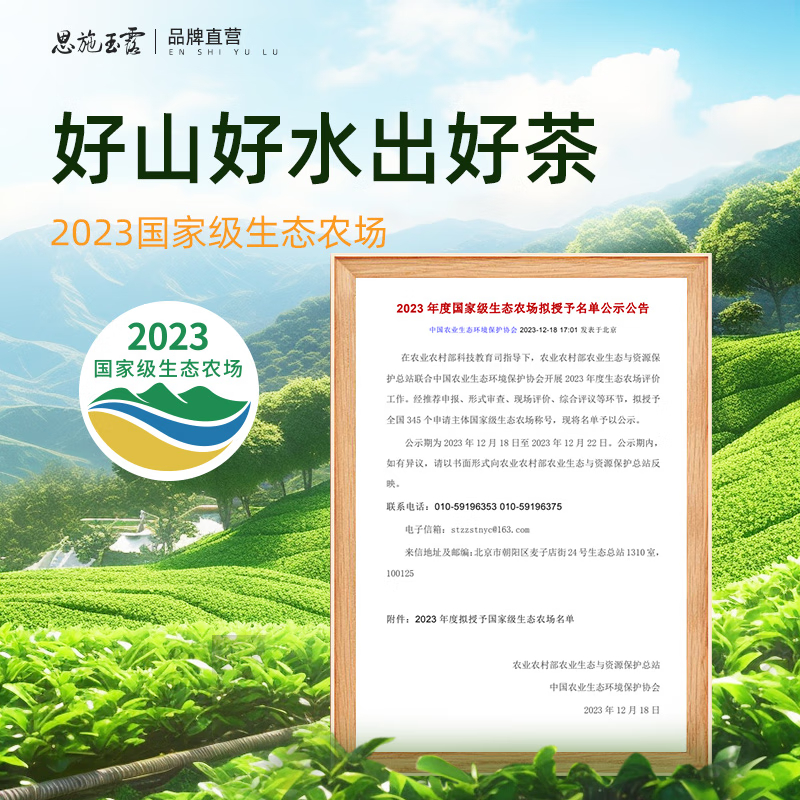 茶馬世家 一级早春恩施玉露铁罐100g高清大图