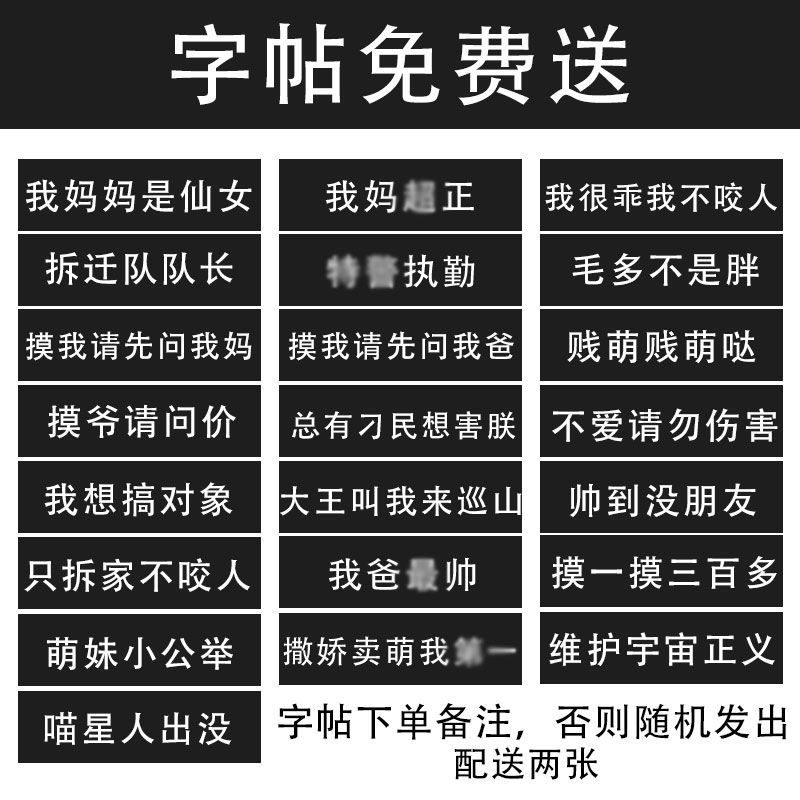 荧光绿+1.5米绳+字帖*2 S(胸围25-30cm-4斤内) 猫咪牵引绳防挣脱逃脱外出专用猫链子背心式溜猫绳栓遛小幼猫