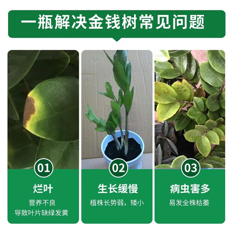 植物营养液 /德沃多/ 2.5L高清大图