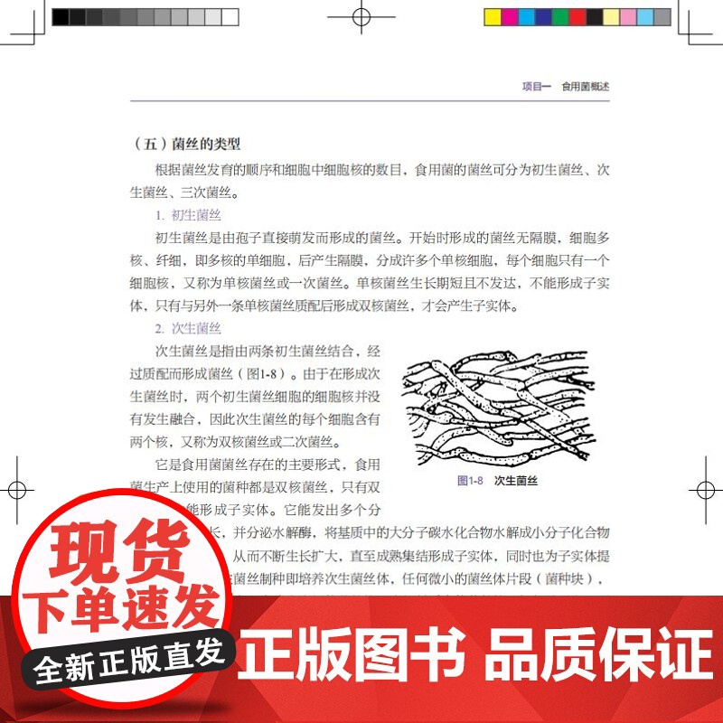 教材-食用菌生产技术高等职业教育生态林业专业群特色教材王海霞2025年1月印1版1印9787518451371新形态活页高清大图