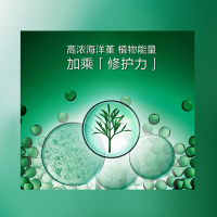 赫莲娜（HR）绿宝瓶精华露修护小绿瓶抗氧化面部精华液补水 绿宝瓶精华露75ml
