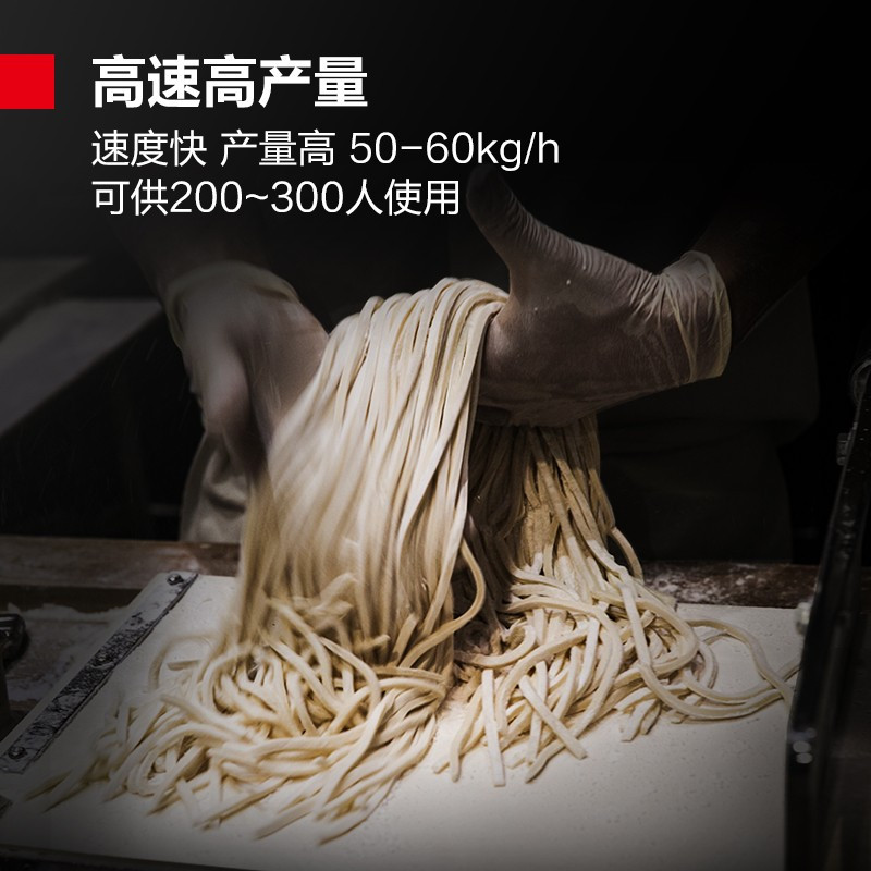 德玛仕(DEMASHI)压面机商用电动 挂面饺子面皮机全自动面条机MT50-2(工程款 配带两把面刀)220V