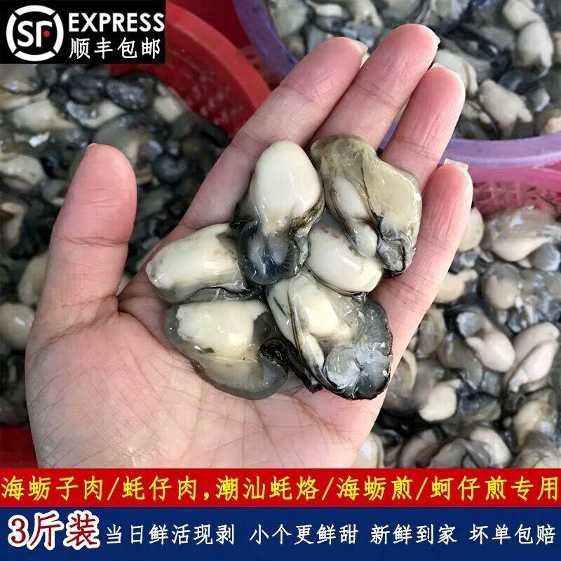 沈志雄东山岛澳角村海鲜生蚝纯肉鲜甜当天现剥生蚝肉海蛎肉牡蛎肉4斤小生蚝肉高清大图