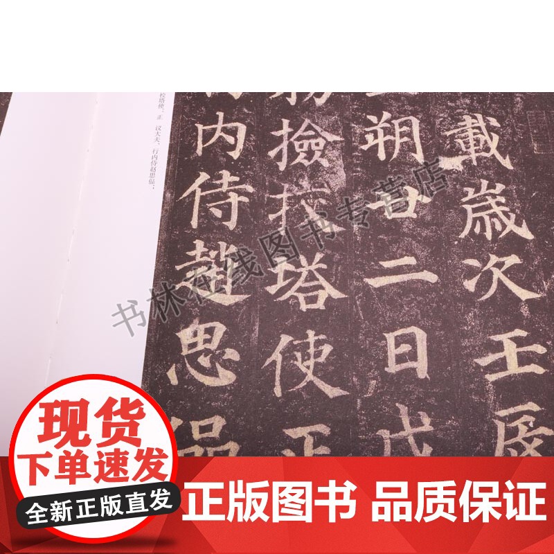 中国具有代表性书法作品放大本系列 颜真卿 多宝塔碑 张海 河南美术出版社高清大图