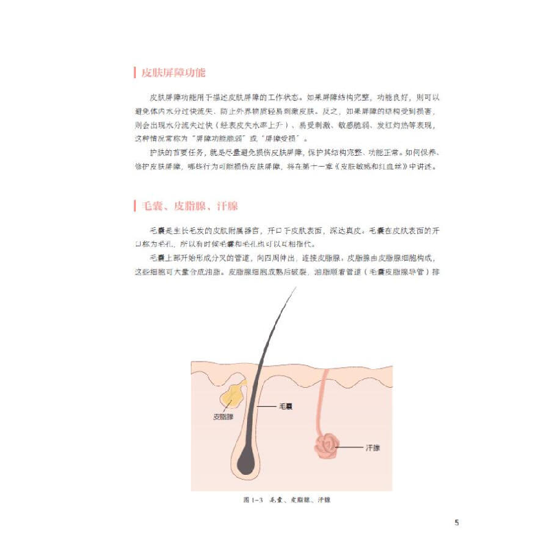 正版新书]听肌肤的话2:问题肌肤护理全书冰寒 著9787555283751高清大图
