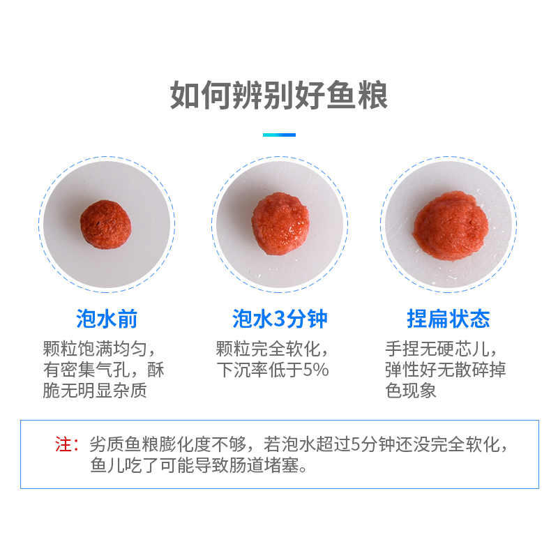 正品血鹦鹉鱼粮专用财鱼食饲料热带观赏七日增红增色鱼饲料高清大图