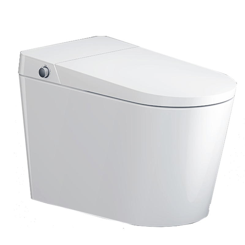 瑞尔特R&T智能马桶G9A脚感冲水即热水洗暖风烘干除臭 白色 305坑距（290-390mm选305坑距）